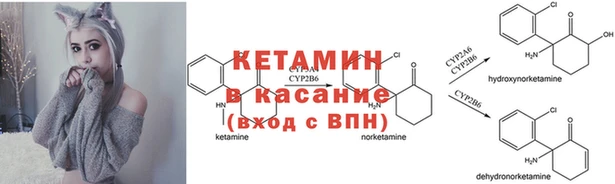 марки lsd Белокуриха